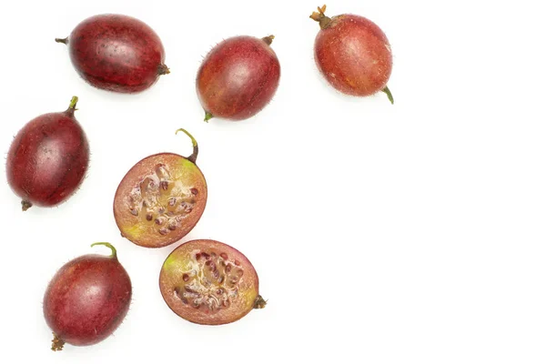 Group Five Whole Two Halves Fresh Red Gooseberry Hinnomaki Variety — Stock Photo, Image