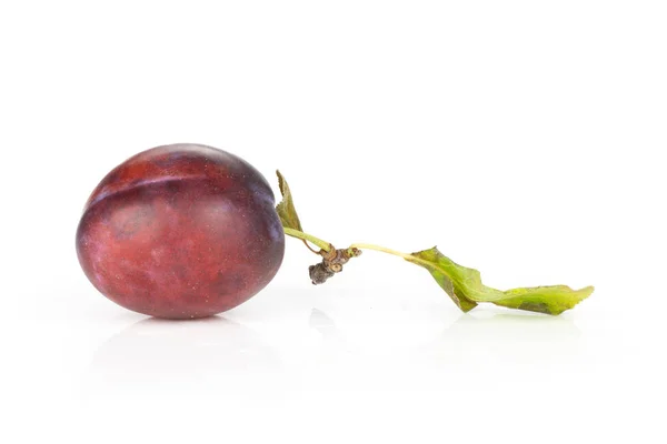 Une Variété Entière Moyer Vibrant Violet Bleu Prune Frais Avec — Photo