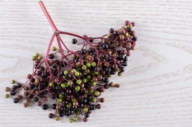 Bütün taze Avrupa siyah mürver bir şube flatlay gri Wood sürü