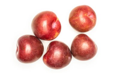 Beş bütün taze pluot interspecific Erik çeşitli flatlay beyaz izole Grup