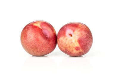 Beyaz izole iki bütün taze pluot interspecific Erik çeşitli grup