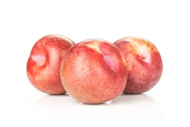 Grup üç bütün taze pluot interspecific Erik çeşitli yığınının üzerinde beyaz izole