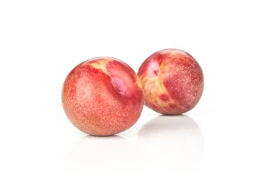 Beyaz izole iki bütün taze pluot interspecific Erik çeşitli grup