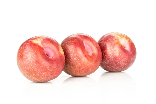 Gruppo Tre Prugne Interspecifiche Pluot Fresche Intere Fila Isolate Bianco — Foto Stock