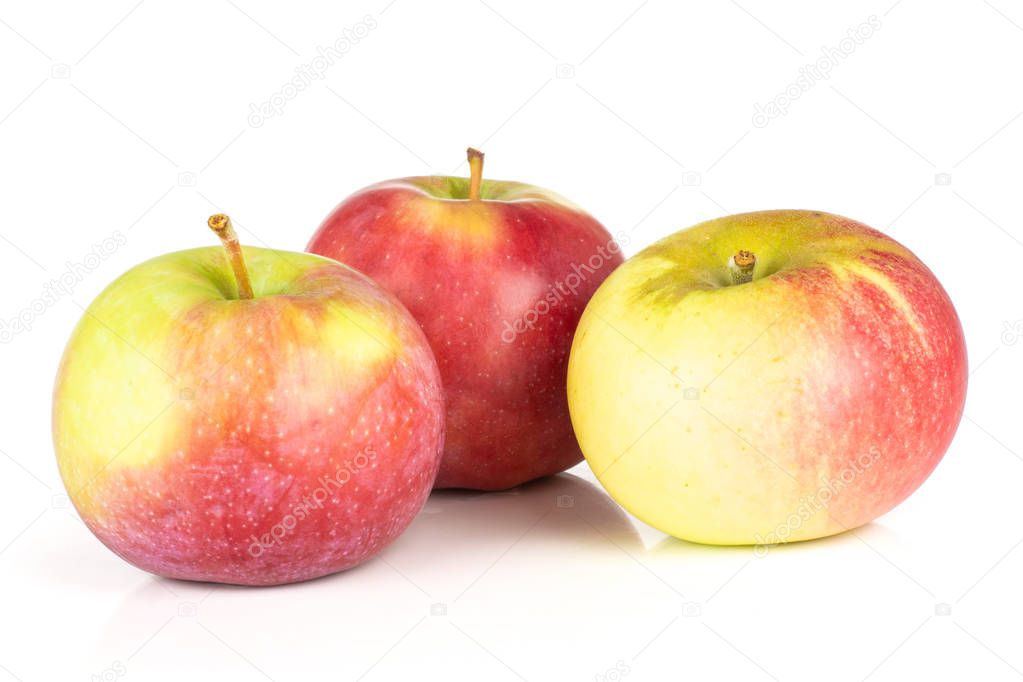 Set of three whole fresh red apple james grieve variety isolated on white background