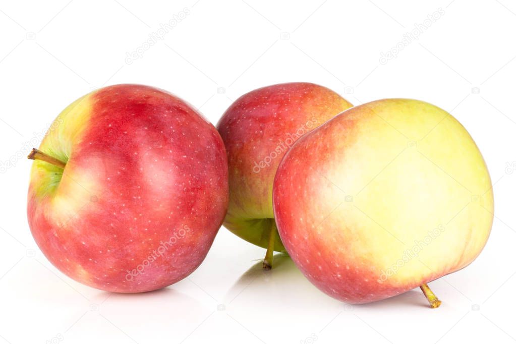 Group of three whole fresh red apple james grieve variety isolated on white background