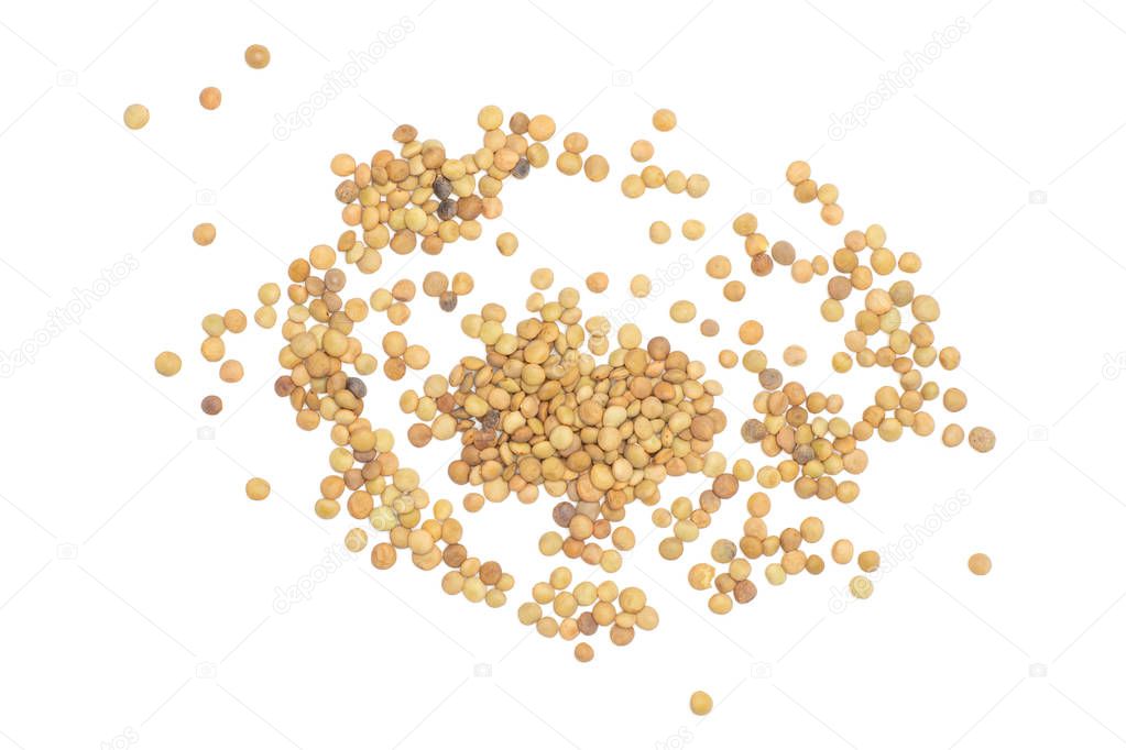 Lot of whole raw green lentil seeds stack flatlay isolated on white
