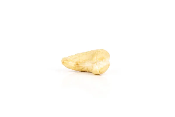 One Whole Raw Cashew Nut Isolated White Background — Stock Photo, Image