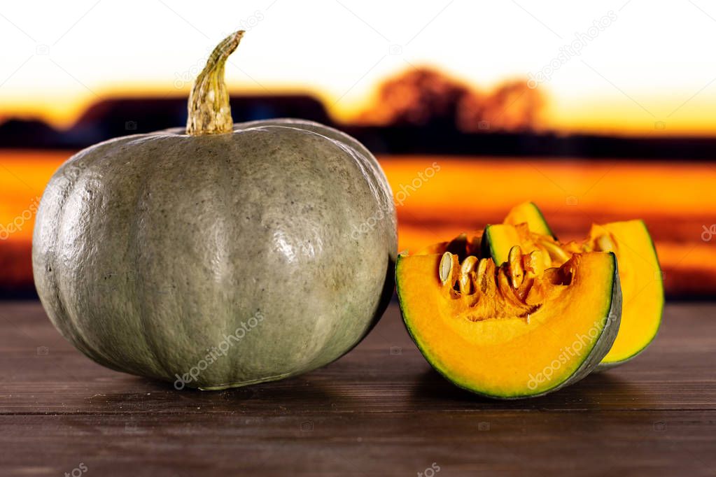 Group of one whole two slices of fresh blue grey pumpkin nagy dobosi variety with autumn field and sunset in background