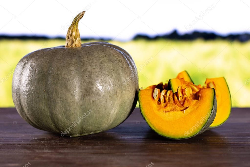 Group of one whole two slices of fresh blue grey pumpkin nagy dobosi variety with green wheat field in background