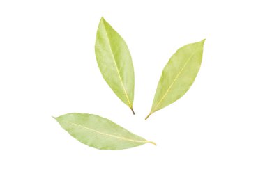 Beyaz arka plan üzerinde izole üç tamamen kuru zeytin yeşili bay defne yaprakları flatlay grubu