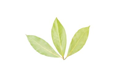Group of three whole dry olive green bay laurel leaves flatlay isolated on white background clipart