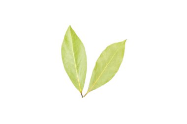 Beyaz arka plan üzerinde izole iki bütün kuru zeytin yeşili bay defne yaprakları flatlay grubu