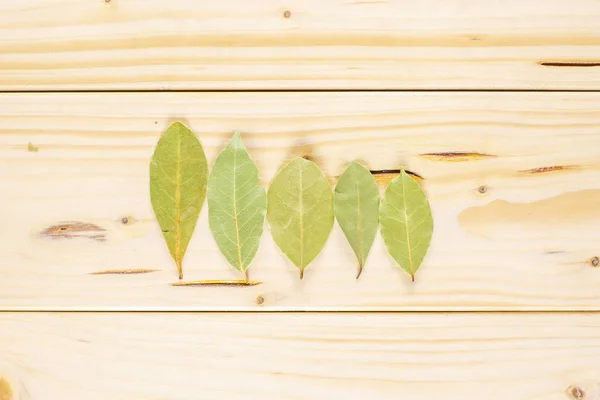 Grupa Pięciu Całe Suche Oliwkowy Wawrzynu Liści Flatlay Naturalne Drewno — Zdjęcie stockowe