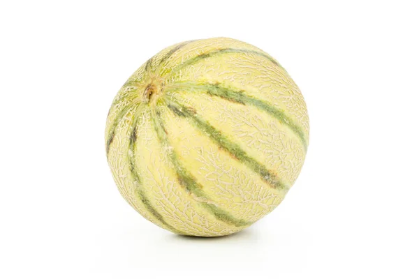 One Whole Striped Fresh Melon Cantaloupe Variety Isolated White Background — Stock Photo, Image