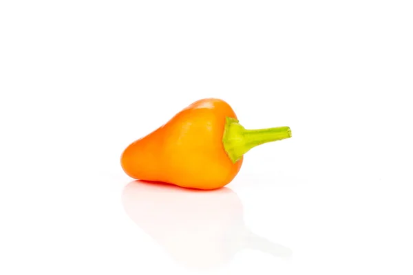 Helt Varm Röd Orange Chilipeppar Utan Blad Isolerad Vit Bakgrund — Stockfoto