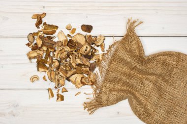 Kuru kahverengi mantar boletus mantarı gri Wood