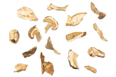 Beyaz izole kahverengi mantar boletus mantarı kuru