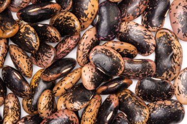 Benekli renkli fasulye boyalı Bayan scarlet üzerinde beyaz izole runner