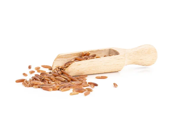 Arroz rojo crudo aislado sobre blanco — Foto de Stock