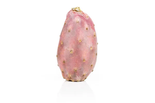 Frisse heldere prickly pear opuntia geïsoleerd op wit — Stockfoto