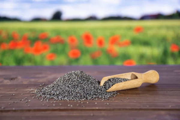 Czech blue poppy seeds with red poppy field in background