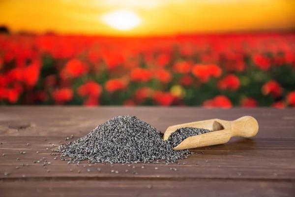 Czech blue poppy seeds with red poppy flowers in background