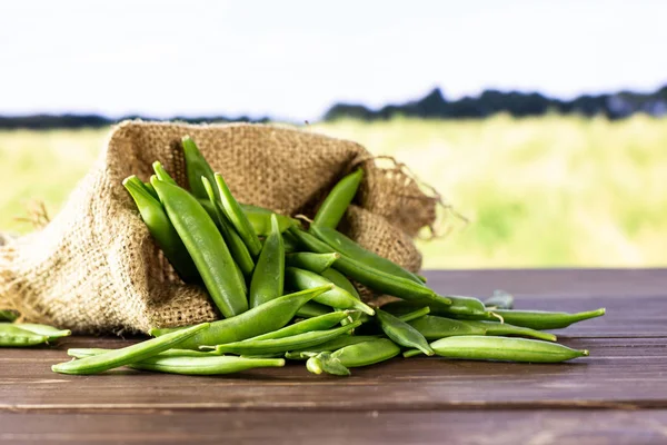 Azúcar verde snap guisante con campo detrás — Foto de Stock