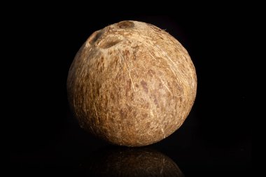 Siyah cam izole taze biyo Hindistan cevizi