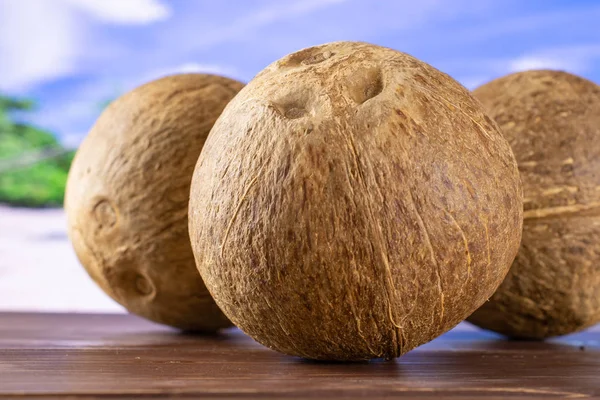 Fresh bio coconut on the beach — Stock Photo, Image