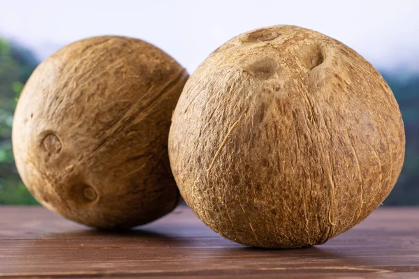 Čerstvé bio kokos v džungli — Stock fotografie