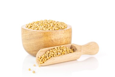 beyaz izole beyaz hardal tohumu