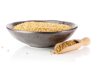 beyaz izole beyaz hardal tohumu