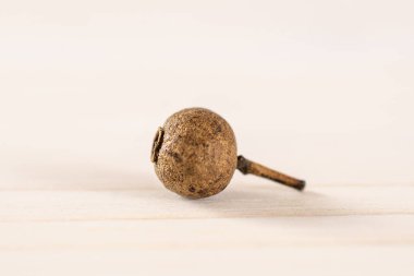 Gri Wood kuru yenibahar çilek