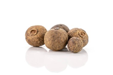 Dry allspice berries isolated on white clipart