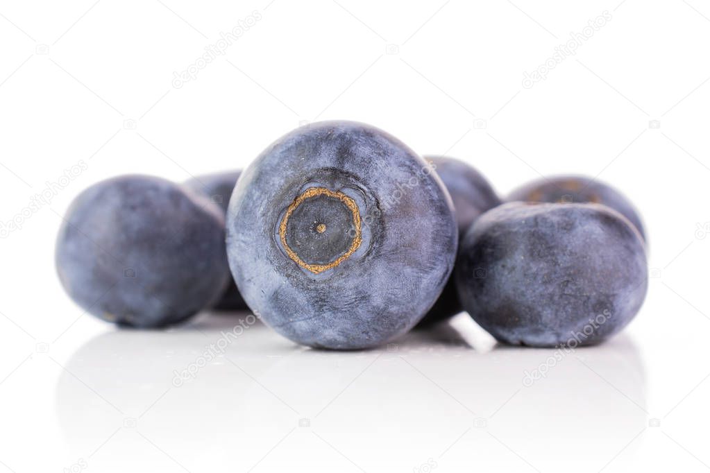 Fresh sweet blueberry isolated on white