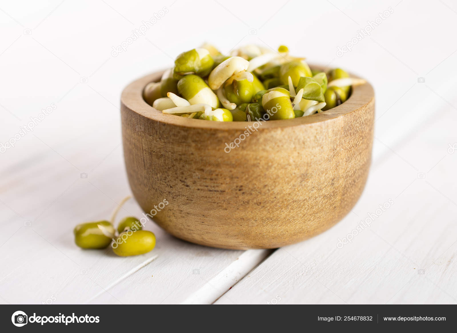 https://st4.depositphotos.com/14836424/25467/i/1600/depositphotos_254678832-stock-photo-mungo-bean-sprouts-on-grey.jpg