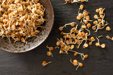 Üzerinde gri taş mercimek lahanası