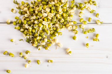 Mungo fasulye filizi gri Wood