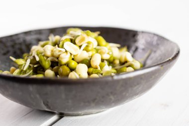 Mungo fasulye filizi gri Wood