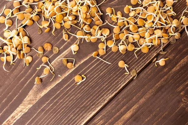 Brotos de lentilha em madeira marrom — Fotografia de Stock