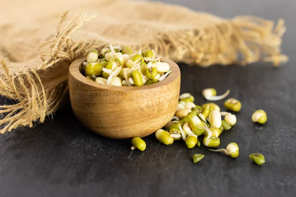 Mungo bean sprouts on grey stone