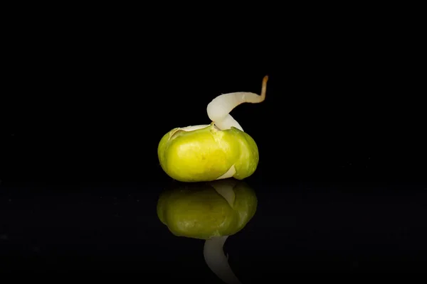 Mungo bean sprouts isolated on black glass — Stock Photo, Image