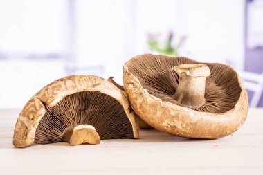 Kırmızı lale ile kahverengi bortobello mantar