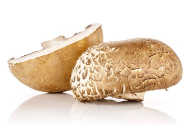 Kahverengi bortobello mantar beyaz izole