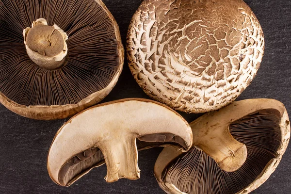 Brown bortobello mushroom on grey stone — Stock Photo, Image