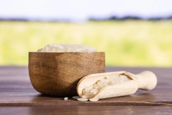 White jasmine rice with field behind — 스톡 사진