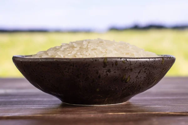 Riso al gelsomino bianco con campo dietro — Foto Stock