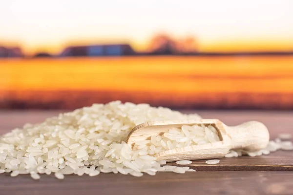 Biały ryż jaśminowy z jesiennym polem za — Zdjęcie stockowe