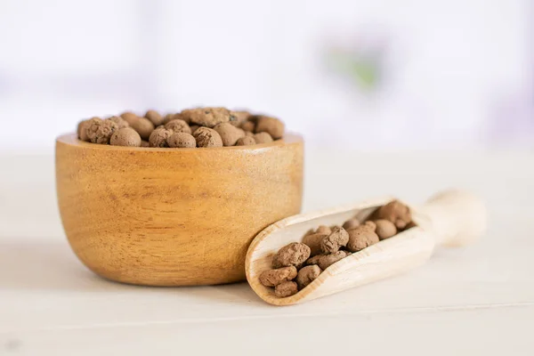 Guijarros de arcilla (leca) con tulipanes rojos — Foto de Stock